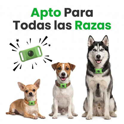 Colgante PawCore™ Natural Anti Pulgas y Garrapatas