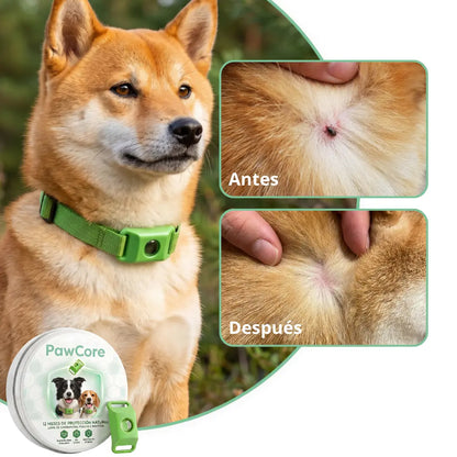 Colgante PawCore™ Natural Anti Pulgas y Garrapatas